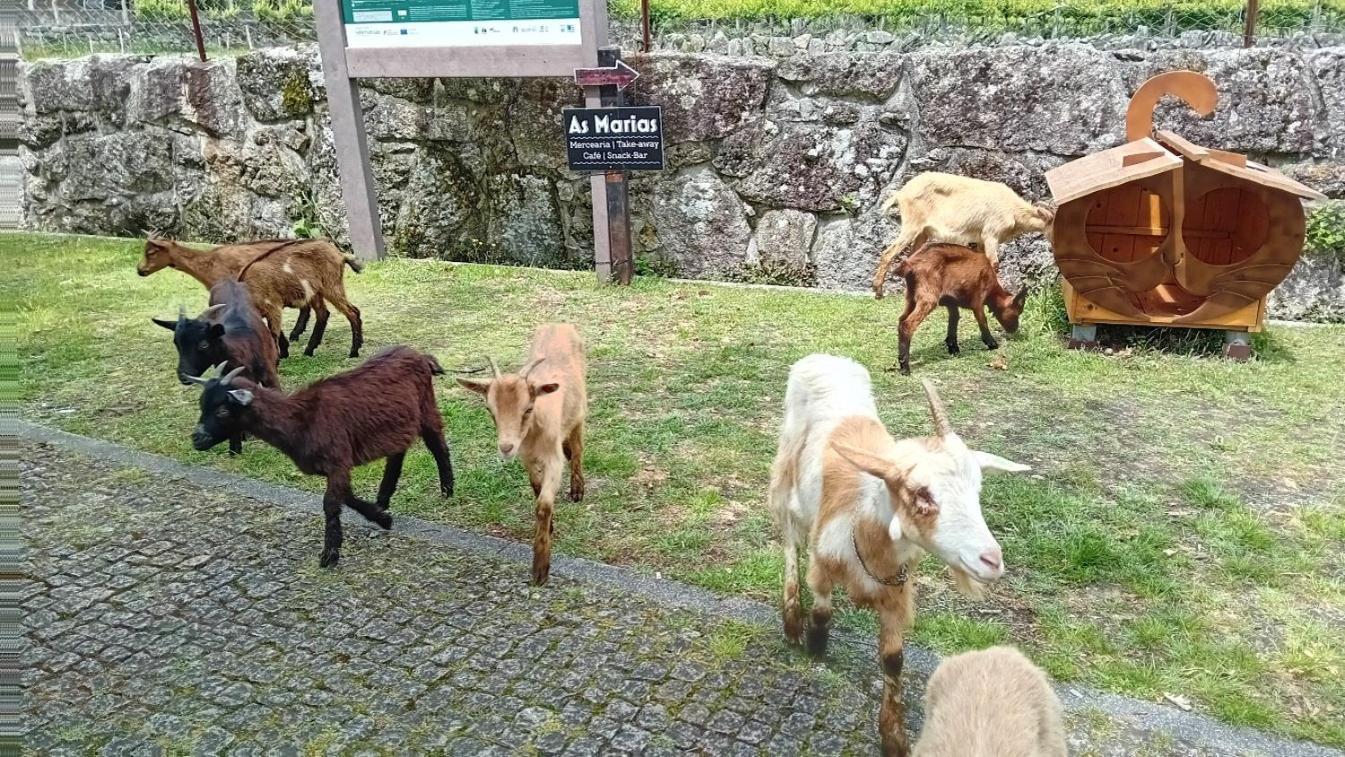 Chalet Do Soajo アルコス・デ・ヴァルデヴェス エクステリア 写真